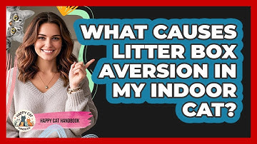 What Causes Litter Box Aversion In My Indoor Cat? - Happy Cat Handbook