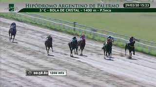 Dia: 29/02/2020 Hipodromo: Palermo Carrera: 3