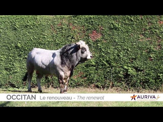 OCCITAN [GASCON]
