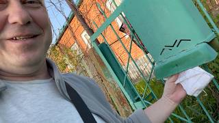 наконец вернулся в дом на Юге : ВСЁ ЗАРАСЛО и ЦВЕТЁТ