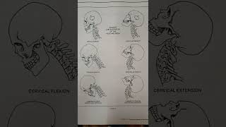 #cover #biology/ neuro physiotherapy//neck movement