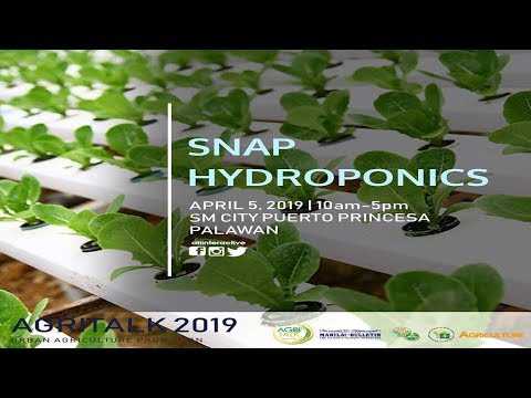 Agritalk 2019 Puerto Princesa City Snap Hydroponics Youtube