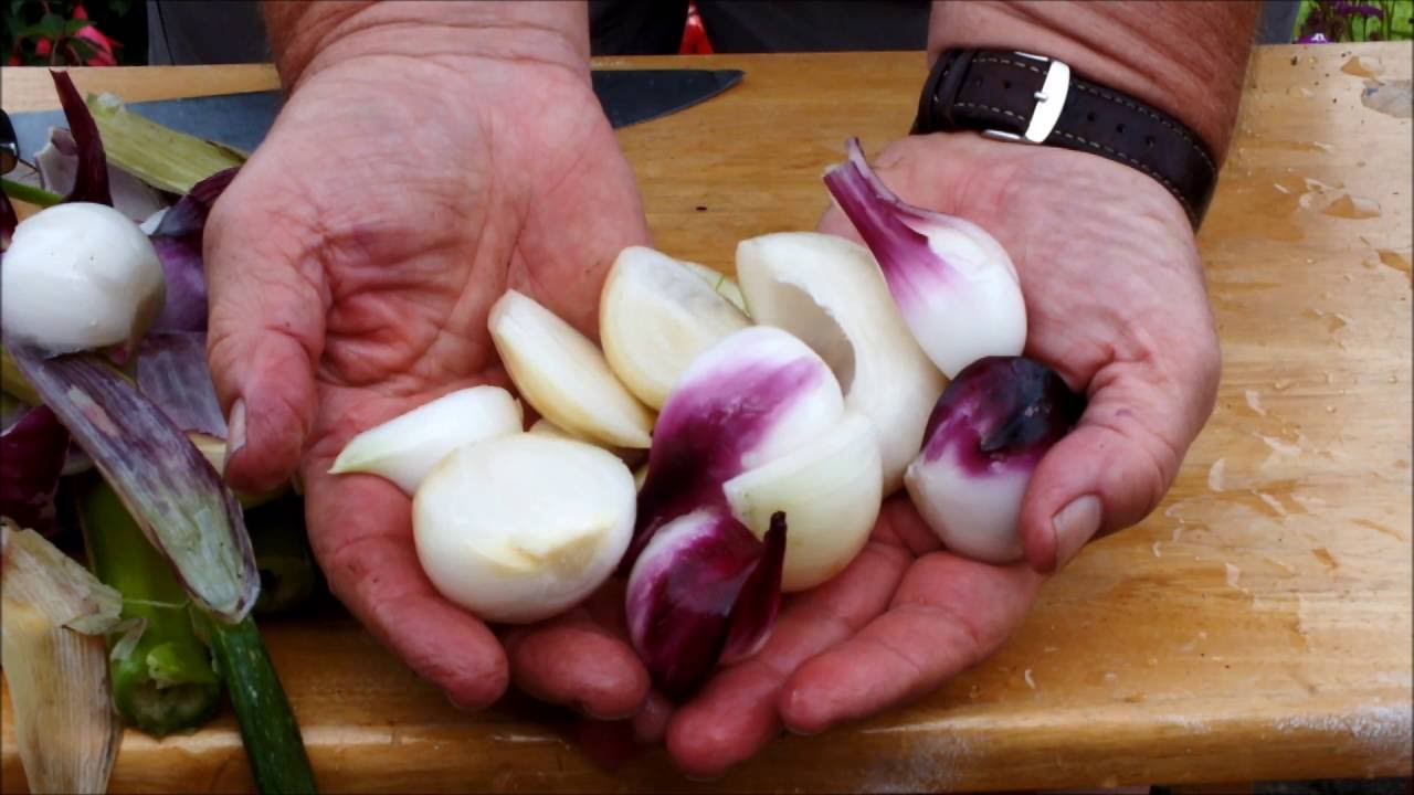 Harvesting onions and 'splitting' onions that have gone to seed. YouTube