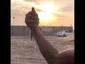 قصيده الخوالد 