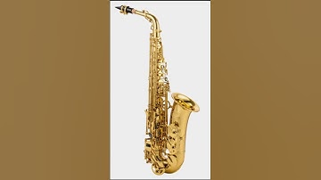 This is just my opinion #saxophone #clarinet #trumpet #flute #instruments #shorts #viralvideo #funny