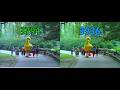 Sesame Street - Rosita's Guitar Lessons