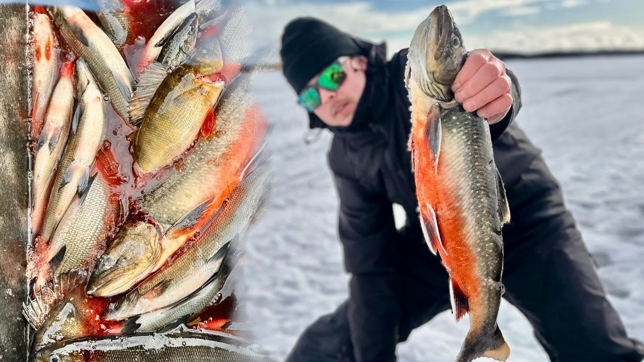 VERKKOKALASTUSTA INARIJÄRVELLÄ || AMMATTIKALASTAJAN MATKASSA