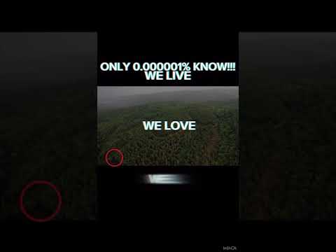 we love, we