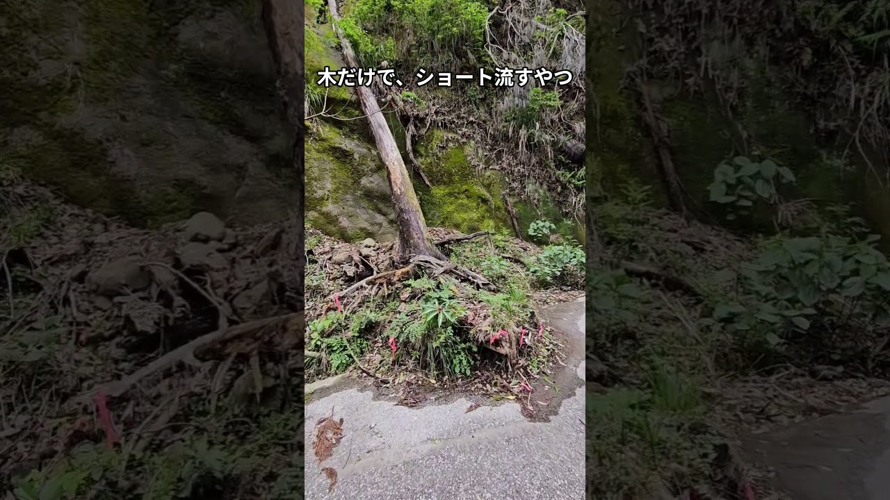 木だけで、ショート流すやつ