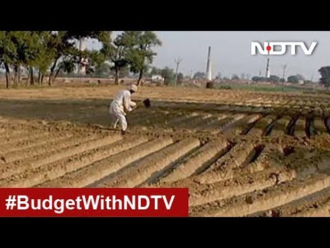 live tv on hulu Budget 2019: 