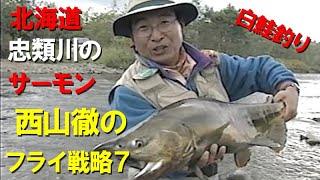 【白鮭釣り】西山徹のフライ戦略7／北海道忠類川のサーモン／川のライオンを釣る！Fishing a white salmon called a river lion in Hokkaido.