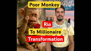 Poor Monkey  To Millionaire  Rios Transformation shorts monkey millionaire