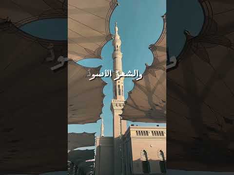 Ibrahim Muhamad Wa Shawkah 