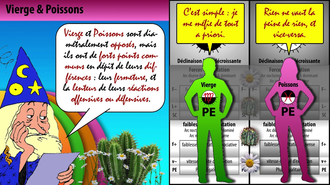 Vierge Poissons Similarites Et Differences