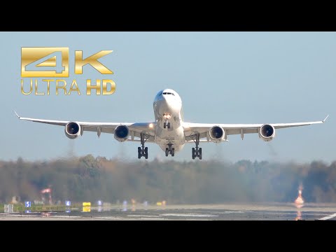 (4K) Airbus A340-600 Touch and Go Lufthansa D-AIHI at Manching Ingolstadt Airport IGS ETSI