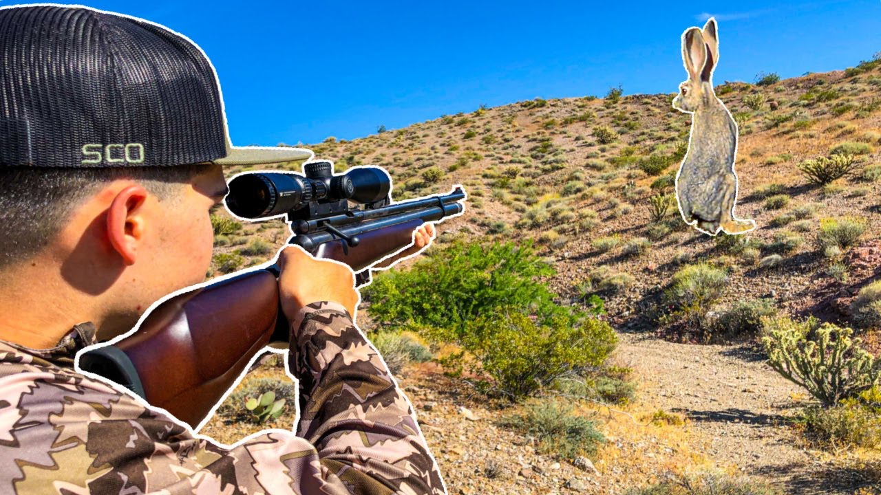 Охота на кроликов с ПНЕВМАТИЧЕСКОЙ ВИНТОВКОЙ!!! (Кролики повсюду!)