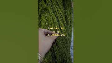 #lướibẫyrắn Lưới bẫy rắn mắt 6p 5p