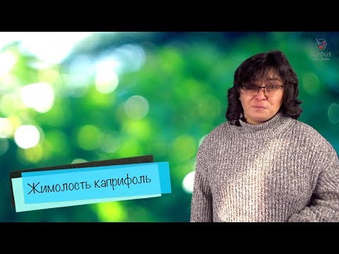 Video: Klubi I Kopshtarëve Kaprifol