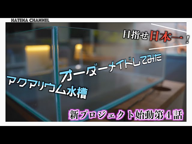 買っちまった】初めてのオーダーメイド水槽/あのショップで注文しま