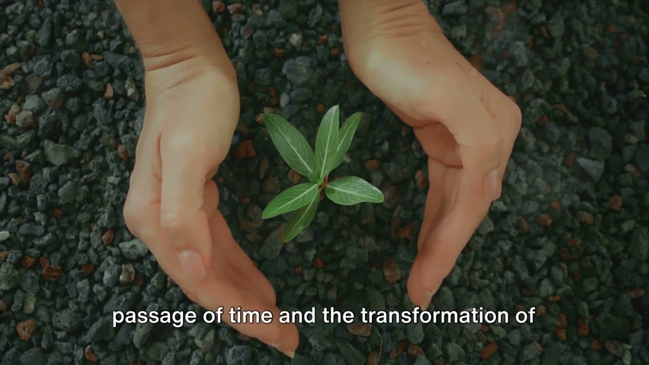 Weathering the Storm: A Journey of Faith