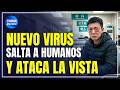 Nuevo virus en China salta a humanos y ataca la vista. ¿Ya está en México?