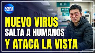 Nuevo virus en China salta a humanos y ataca la vista. ¿Ya está en México?