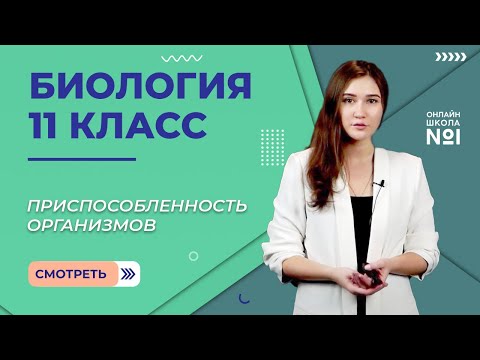 Приспособленность организмов к среде как результат действия отбора. Видеоурок 10. Биология 11 класс