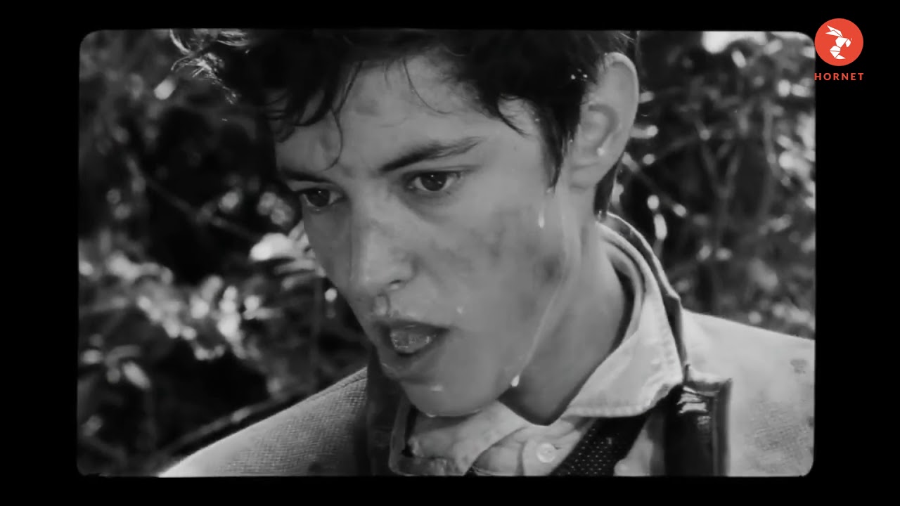 Hornet présente au Queer Cinema Club: "Les Garçons sauvages" et "Herculanum"