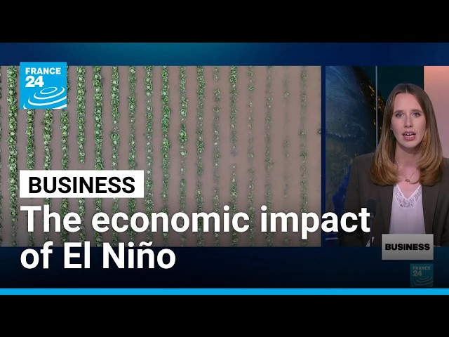 El Niño weather phenomenon set to deliver massive blow to global economy • FRANCE 24 English