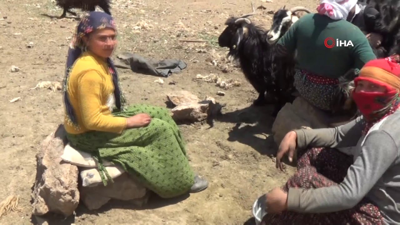 Siirtli Göçerlerin Zorlu Yayla Yaşamı