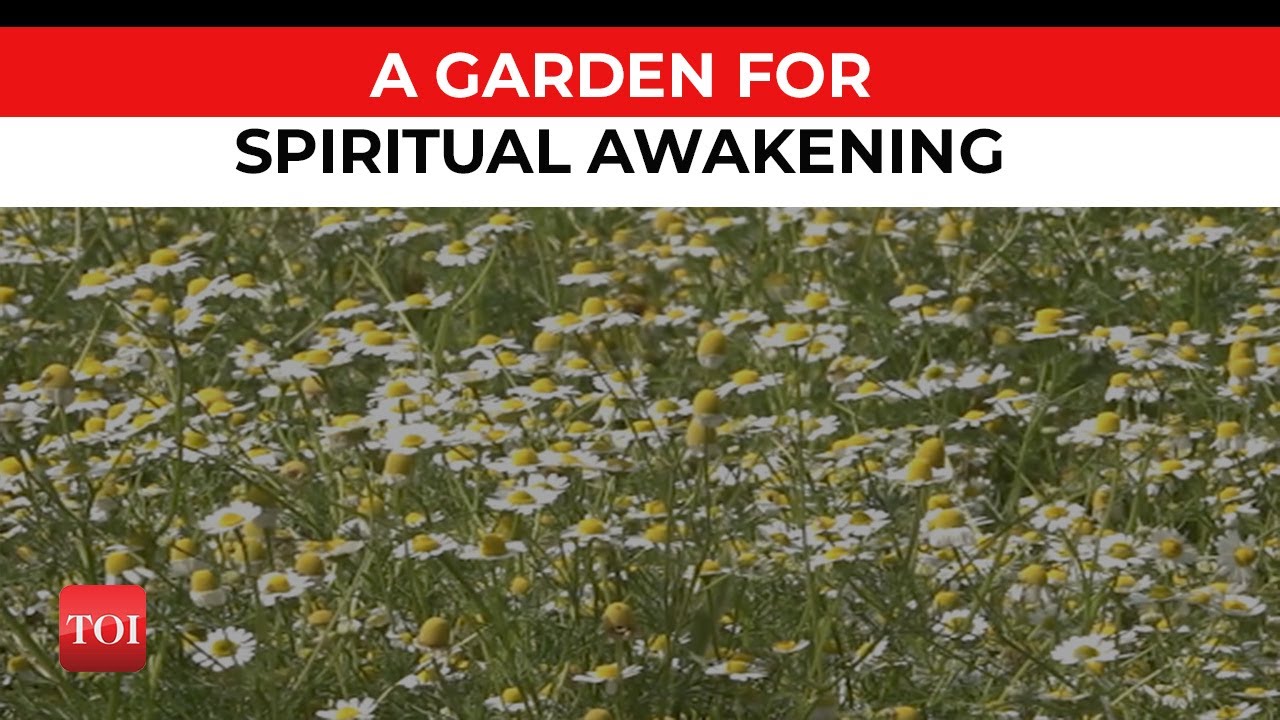 Peace and communal harmony, the theme behind Rashtrapati Bhawan's spiritual garden