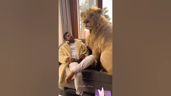 Dubai Trip Mistake Tourists Must Avoid 😱 | Burj Khalifa & Spicy Biryani Truth! #shorts #shortsfeed