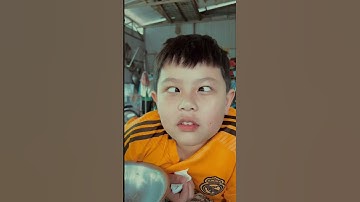 Tát mương bắt cá miền quê