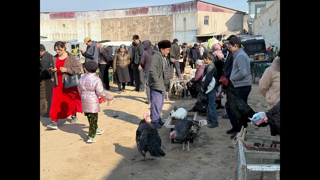 ХОРАЗМ ХАЗОРАСП ПАРРАНДА БОЗОРИДАН НАРХЛАР 07.03.2026.