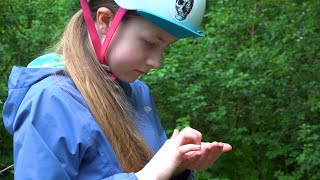 Hackney Marshes & Olympic Park - London Wildlife - Birds, Lesser Stag Beetle And Woodlouse Spider