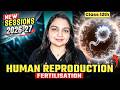 Class 12 Biology | Human Reproduction: Fertilisation | Boards 2026–27 | Nikita Ma'am