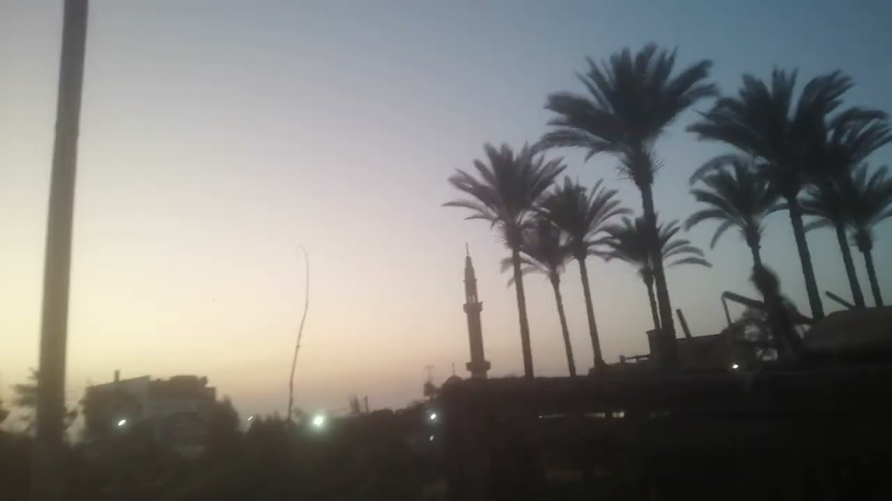 الحصيله اليوم لطيور المينا والبلابل واليمام