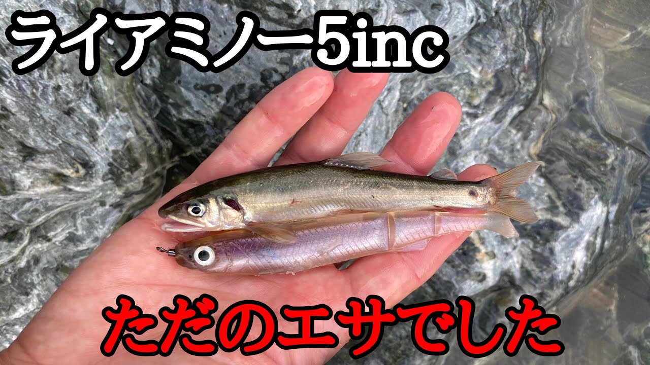 New Product] I tried the new size of Liamino, but it's gross