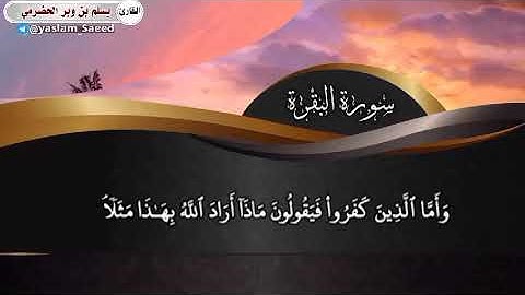 تلاوة من سورة البقرة القارئ يسلم بن وبر الحضرمي