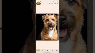 Two years later, Google Photos may finally gain this cool iOS photo trick
Google is testing iOS-like functionality in the Photos app on Android, allowing users to generate stickers from their pictures. You can read more about it here: https://www.androidauthority.com/google-photos-to-sticker-testing-on-android-3617732/
🌐 Visit our website: https://www.androidauthority.com
📽️Watch our main channel: https://www.youtube.com/@AndroidAuthority
📱Its The Pixel Guy! https://www.youtube.com/@cscottbrown
🎧 Subscribe to SoundGuys: https://www.youtube.com/@SoundGuys
💬Follow us:
Bluesky: https://bsky.app/profile/androidauthority.com
Facebook: https://facebook.com/androidauthority/
Flipboard: https://flipboard.com/@Androidauth
Instagram: https://instagram.com/androidauthority/
Telegram: https://t.me/AndAuthOfficial
TikTok: https://www.tiktok.com/@androidauthority
WhatsApp: https://www.whatsapp.com/channel/0029VbAOMZvInlqGqqsb6s0n
X: https://x.com/androidauth/
🛒 Check out our favorite stuff on Amazon: http://andauth.co/Amazon
Affiliate Disclosure:
This post may contain affiliate links, when you buy through links in the description we may earn an affiliate commission. As an Amazon Associate, we earn from qualifying purchases. See our affiliate link policy for more details: https://www.androidauthority.com/external-links/
👋Follow the team:
Paul Jones: https://x.com/1paulj_
C.Scott Brown: https://bsky.app/profile/cscottbrown.bsky.social
Lanh Nguyen: https://www.instagram.com/lanhnguyenfilms/
Harley Maranan: https://x.com/harleymaranan
Edgar Cervantes: https://x.com/5Reflections
Mishaal Rahmann: https://x.com/MishaalRahman Two years later, Google Photos may finally gain this cool iOS photo trick