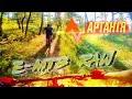 Що таке АРТАНІЯ? Показую всі трейли ДАХНІВКИ!