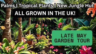 Late May Garden Tour | Tropical Decking Area | Palm Trees | Plants | Flower Garden