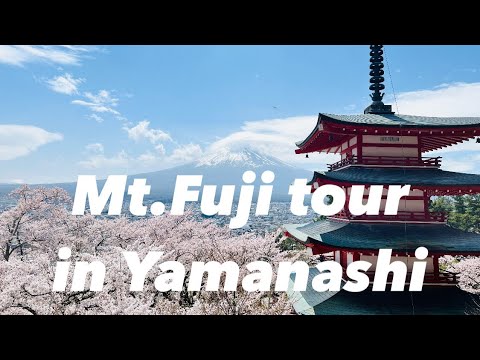 【Mt.Fuji tour  in Yamanashi🗻】🚗新倉山浅間公園、ほうとう歩成、御殿場アウトレット、中華料理　GWおすすめ