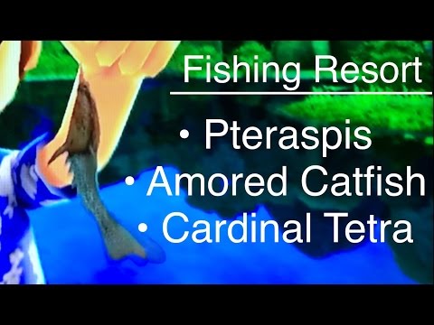 Let's Play: Fishing Resort Wii, Pteraspis, Armored Catfish, Cardinal Tetra