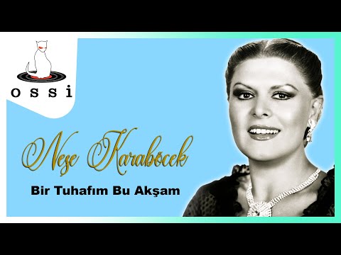 Neşe Karaböcek - Bir Tuhafım Bu Akşam