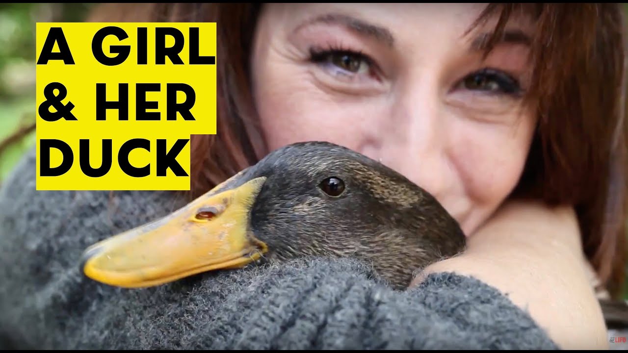 A girl & her duck YouTube