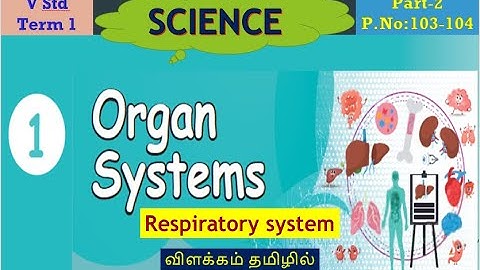 Organ Systems unit-1(Part-2)/Respiratory system/5th Std Science English medium Explained in tamil