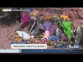 Fan honor Kyle Busch with growing memorial at the Las Vegas Motor Speedway