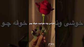 [٢٠٢٠]ل ده ف وه يا جا وا بو [بيناسه يه ك بو ٢٠٢٠]