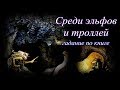 Среди эльфов и троллей. Гадание по книге.